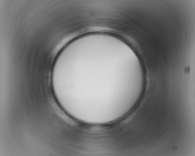 X0000113291322200909140955