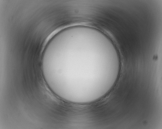 X0000113291324200909140955