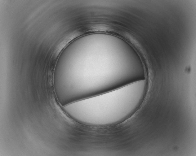 X0000113291329200909140955