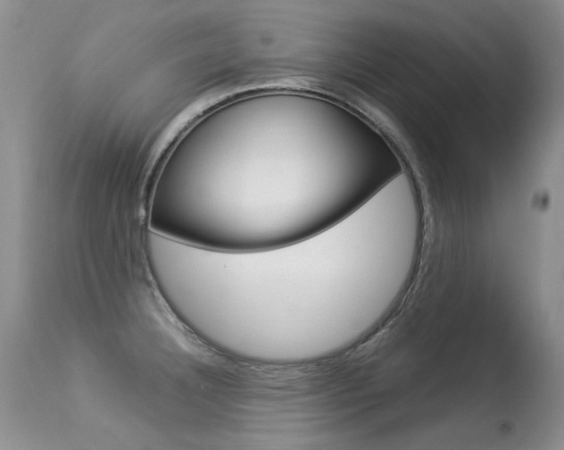 X0000113291332200909140955