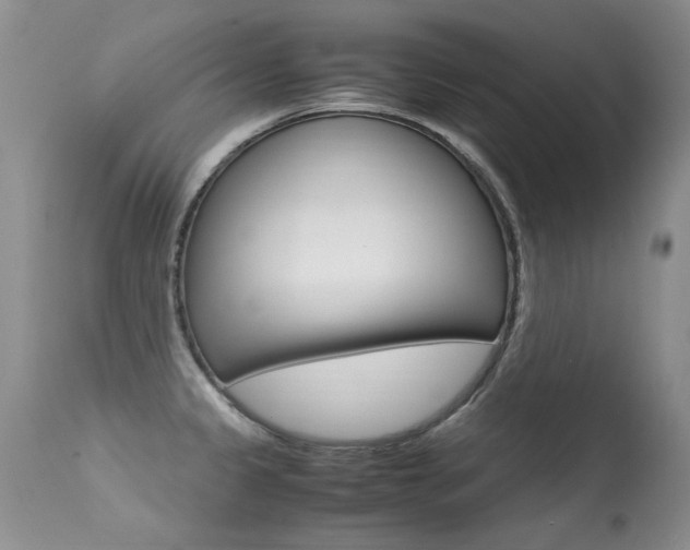 X0000113291333200909140955
