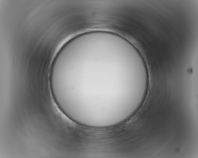 X0000113291334200909140955