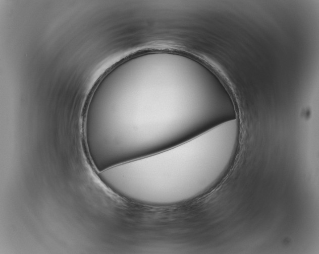 X0000113291335200909140955