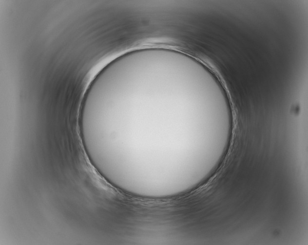 X0000113291336200909140955