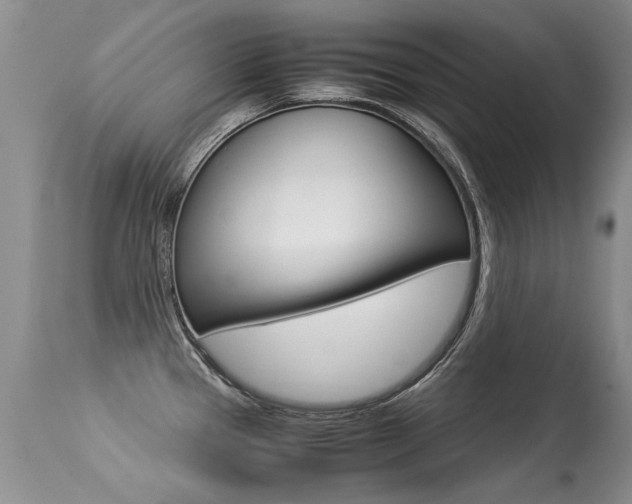 X0000113291337200909140955