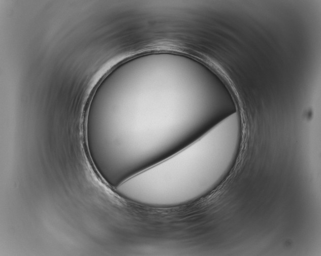 X0000113291339200909140955