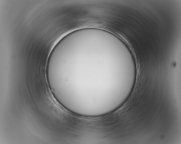 X0000113291340200909140955