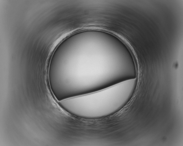X0000113291341200909140955