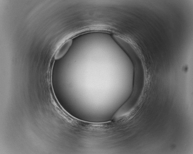 X0000113291342200909140955