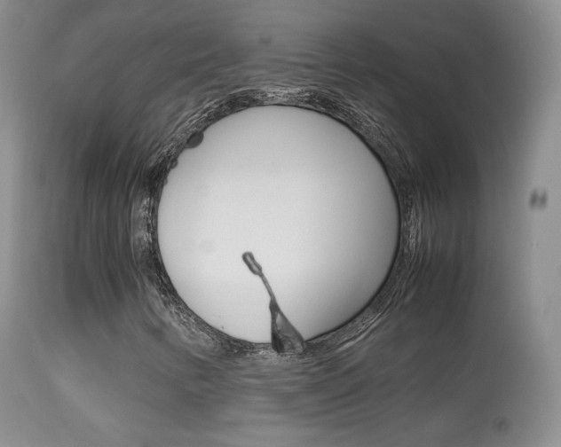 X0000113291346200909140955