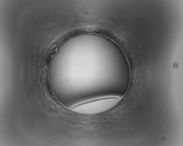 X0000113291349200909140955