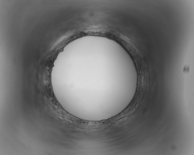 X0000113291350200909140955