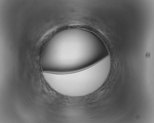 X0000113291351200909140955