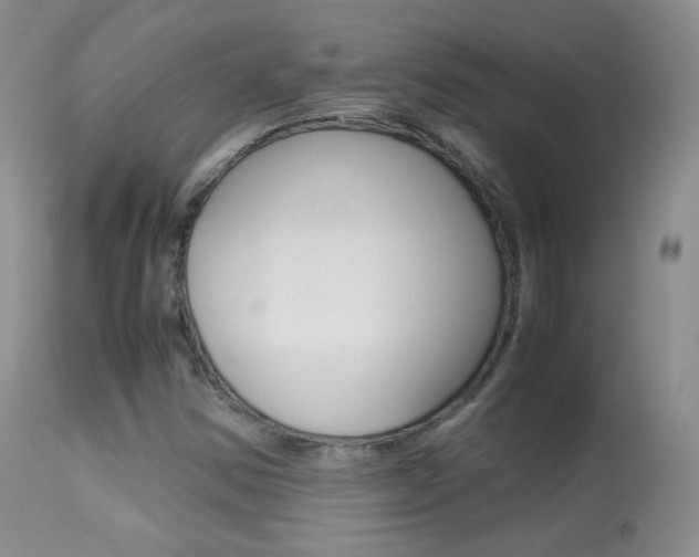 X0000113291354200909140955