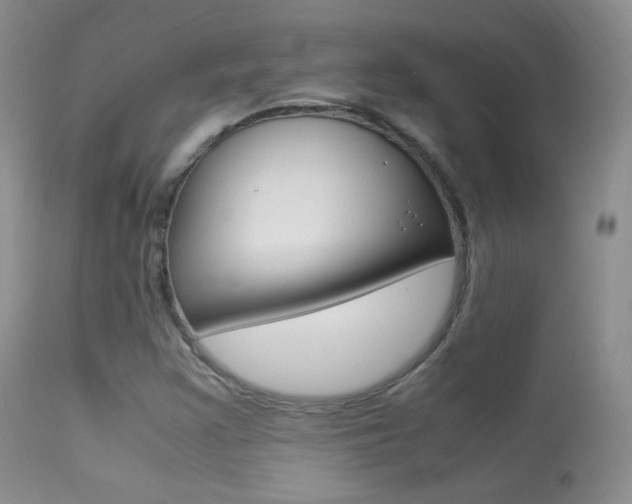 X0000113291355200909140955
