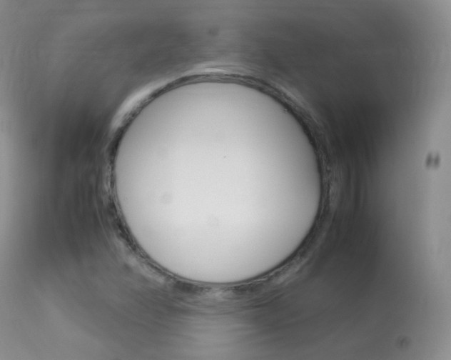 X0000113291358200909140954