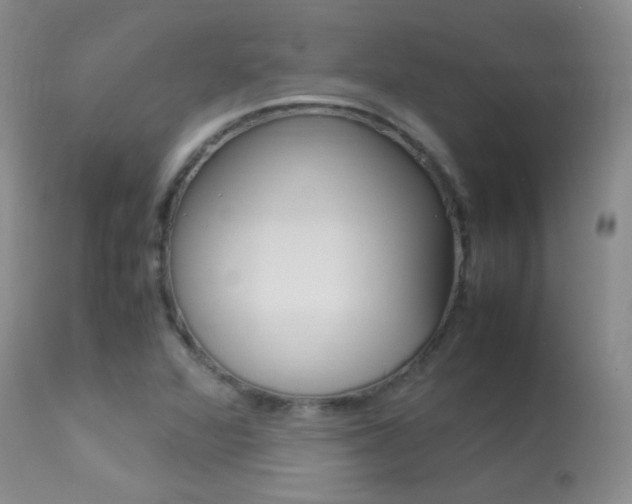 X0000113291360200909140954