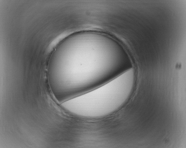X0000113291363200909140954