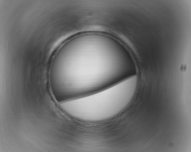 X0000113291364200909140954