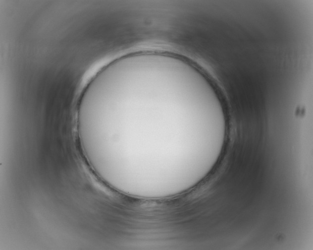 X0000113291366200909140954