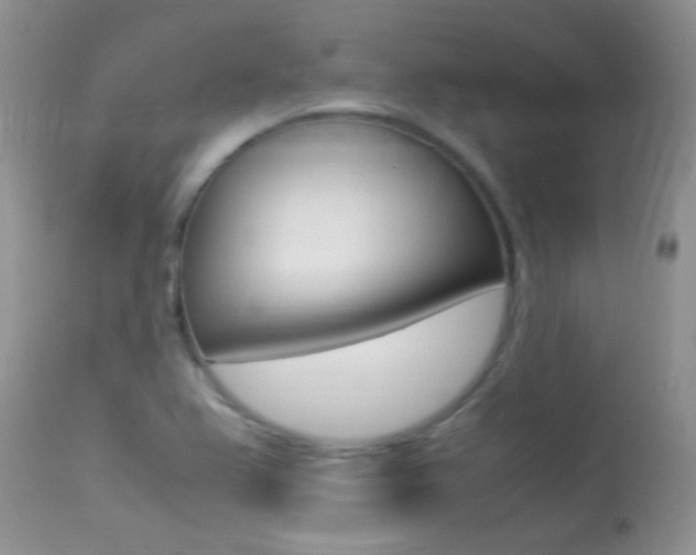 X0000113291367200909140954