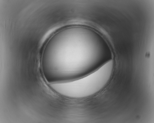 X0000113291368200909140954