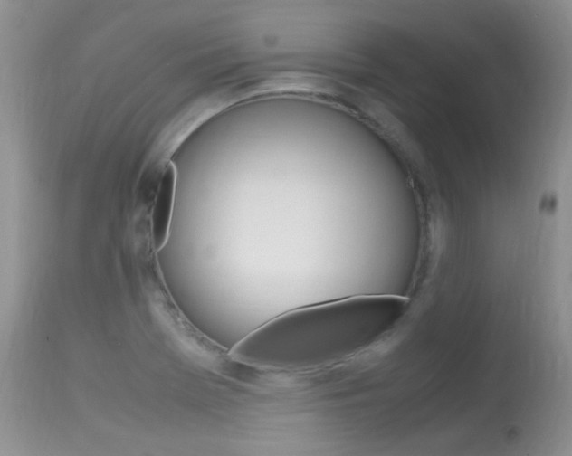 X0000113291369200909140954