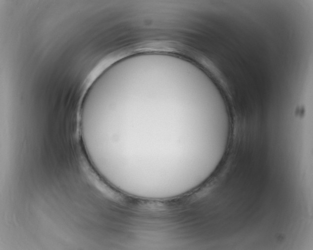 X0000113291370200909140954