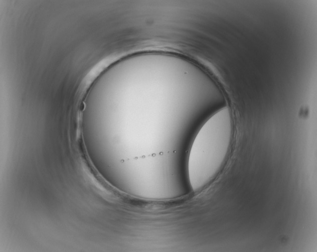 X0000113291371200909140954