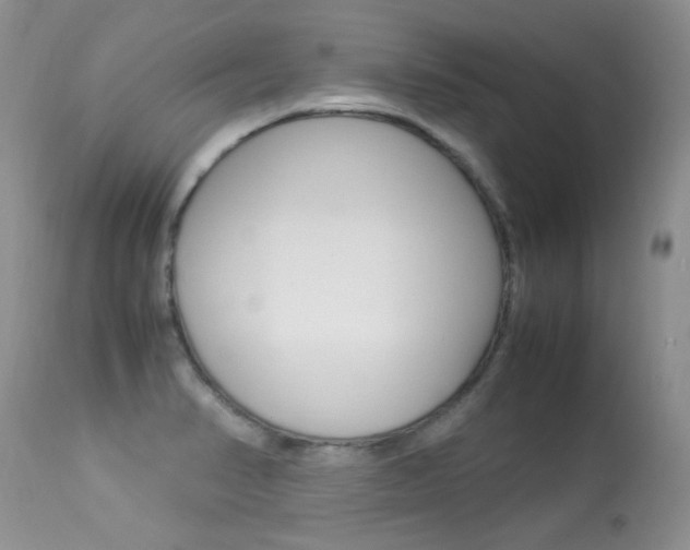 X0000113291374200909140954
