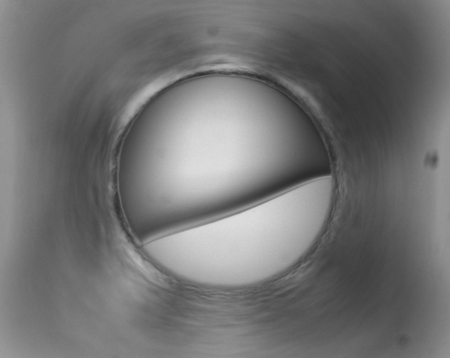 X0000113291375200909140954