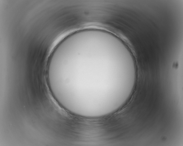 X0000113291376200909140954