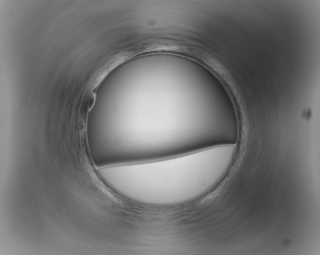 X0000113291377200909140954