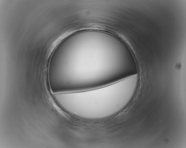 X0000113291379200909140954