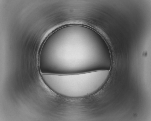 X0000113291380200909140954