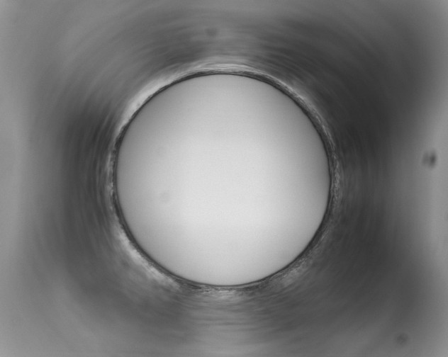 X0000113291382200909140954