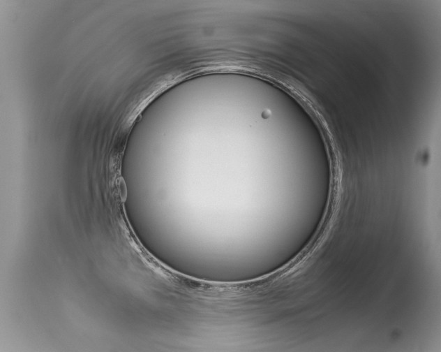 X0000113291385200909140954