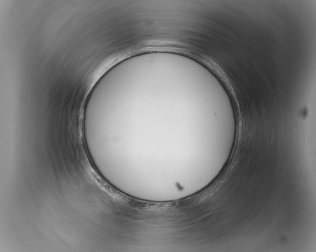 X0000113291386200909140954