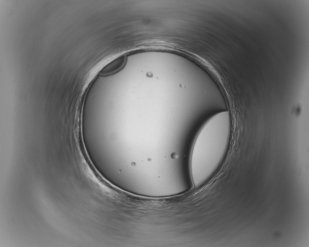 X0000113291387200909140954