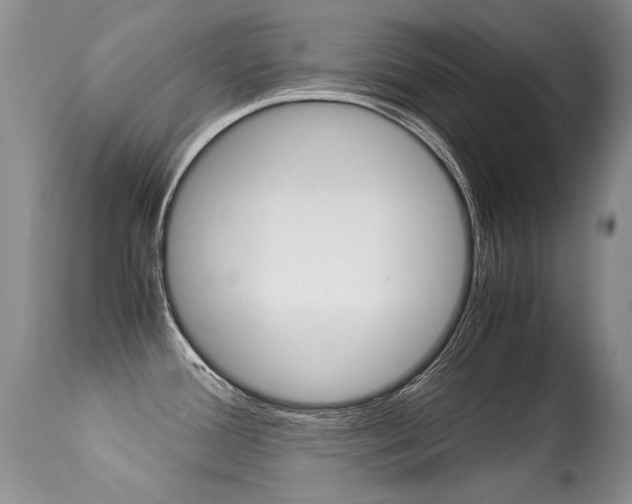 X0000113291388200909140954