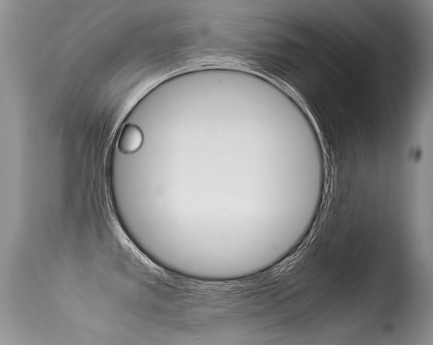X0000113291389200909140954