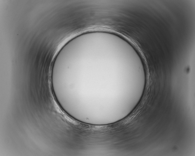 X0000113291390200909140954