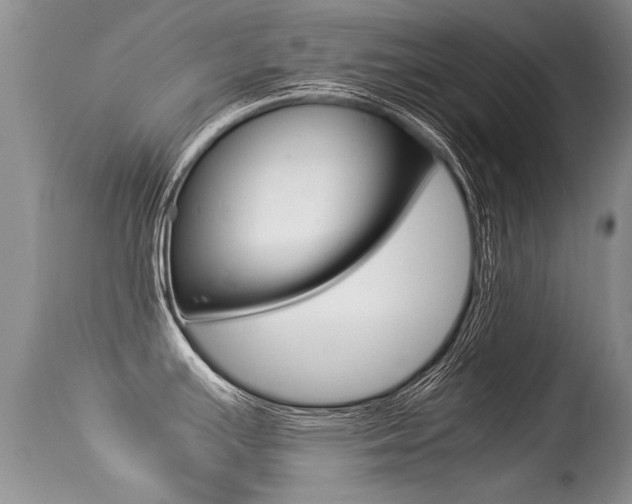 X0000113291391200909140954