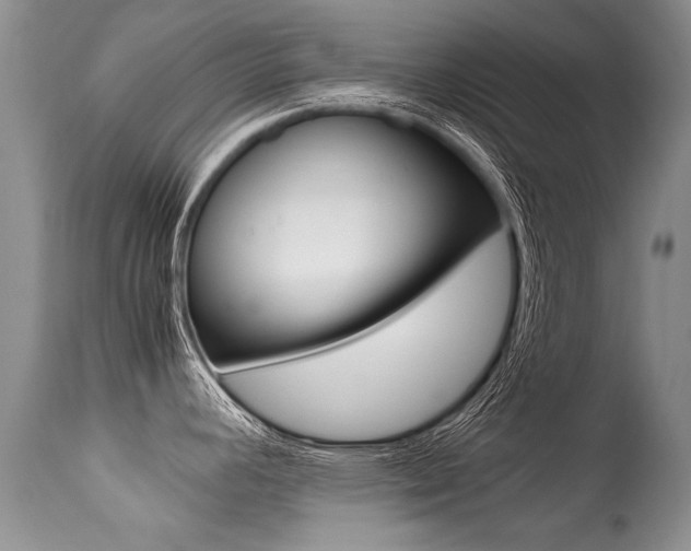 X0000113291392200909140954