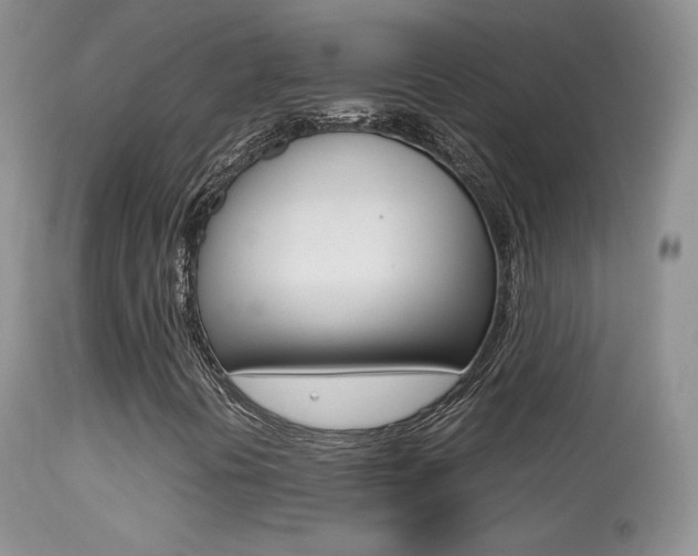 X0000113291394200909140953