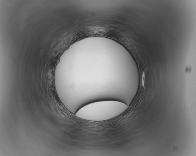 X0000113291395200909140953