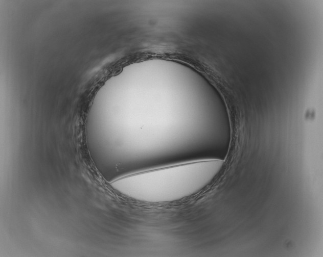 X0000113291398200909140953