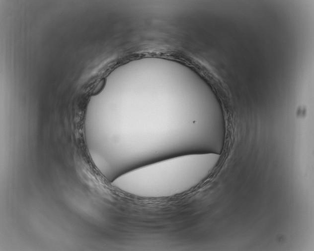X0000113291399200909140953