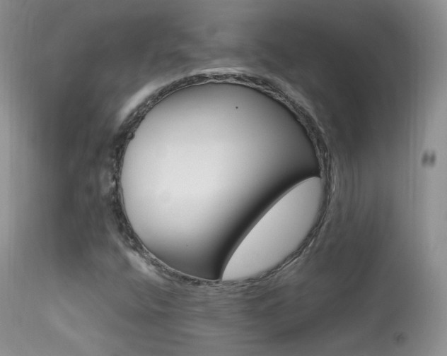 X0000113291400200909140953