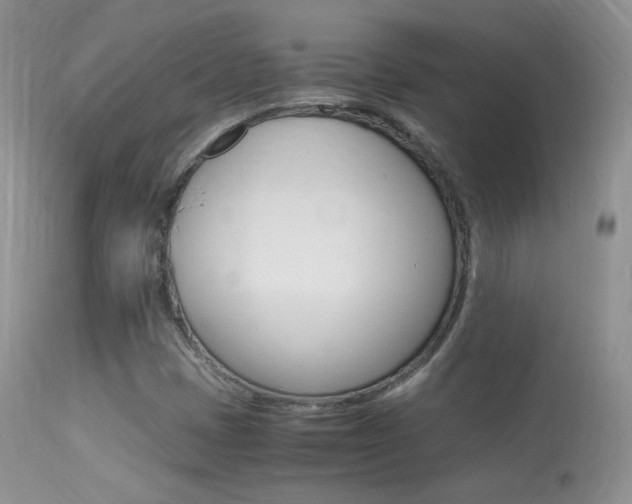 X0000113291401200909140953